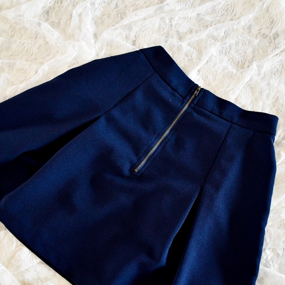 Adorable Navy Blue Mini A-Line Skirt